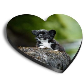 1 x Heart MDF Magnets - Tiny Chihuahua Puppy Dog Cute 46366