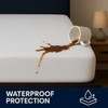 Shaaz Threads Waterproof Mattress Protector – Twin – Soft &