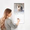 RED EMBER Pomeranians 2025 Wall Calendar 12 Month | 12"