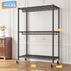 Raybee Clothes Rack, 45" W Clothing Racks for Hanging Clothes,