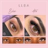 LLBA LLBA Promade Fans | Handmade Volume Eyelashes | Multi