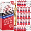 Fly Strips Indoor Sticky Hanging 24pk with Pins. Non Toxic