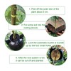 EATHEATY 30 Pcs Air Layering Pods - Reusable Plant Root