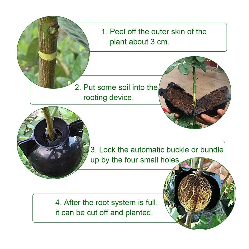 EATHEATY 30 Pcs Air Layering Pods - Reusable Plant Root