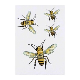 4 x 'Honey Bee' Temporary Tattoos - Water Resistant, Skin-Safe, Non-Toxic Transfers, Mixed Sizes (TO00074532)
