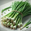 Seeds4planting - Seeds Green Welsh Bunching Onion Rare Heirloom Vegetable