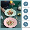 10inch 11inch Dinner Plates Set of 10, Reusable Wheat Straw
