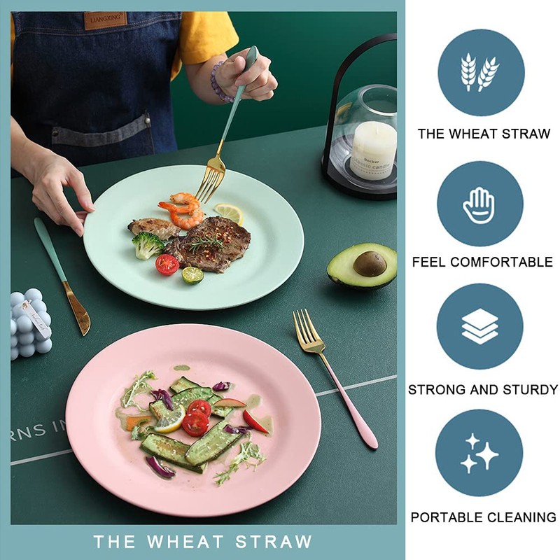 10inch 11inch Dinner Plates Set of 10, Reusable Wheat Straw
