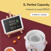 Tianji Electric Stew Pot, Ceramic Soup Porridge Cooker, Slow Cookers