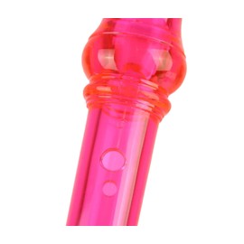 Everjoys Soprano Recorder for Beginners Student in School - German Style C Key 8 Hole Flute Detachable 3pcs ABS Crystal Music Recorders w/Cleaning Rod,Bag and Fingering Chart, Transparent Golden