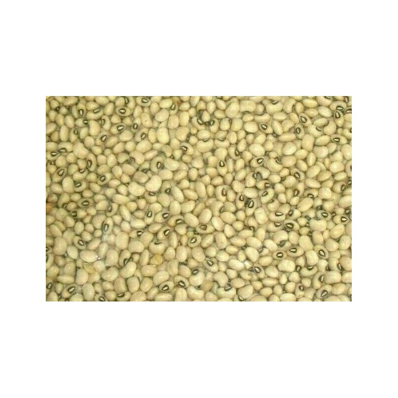 Swagat Whole Black Eyed Pea Cowpeas 4 lb Desi Chori