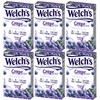 Welch's Singles To Go Powder Drink Mix, Grape, 6 Boxes
