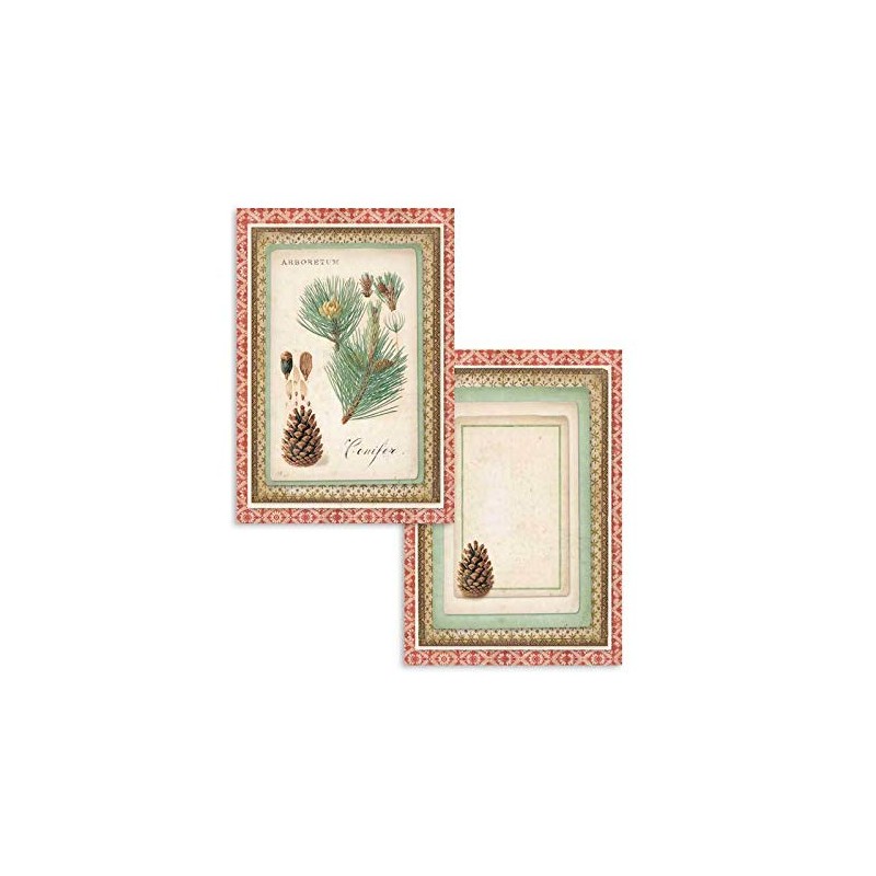 Stamperia Winter Botanic Scrapbooking Cards sbbpc06