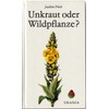 Unkraut oder Wildpflanze?