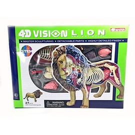 4D Vision Lion Anatomy Model - Medical Quality Collectible with Fully Detachable Organs and Body Parts