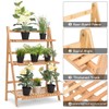 Casart Bamboo Ladder Stand Shelf, Foldable Multifunctional Flower Display Rack,
