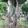 DIKAIDA Metal Citronella Torches, 6 Pack Torches Garden for Outside
