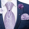 DiBanGu Mens Tie and Lapel Pin Set Silk Lilac Paisley