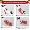Hipet Dog Surgical Recovery Suit for Abdominal Wounds or Skin