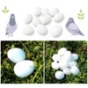 Solid Fake Eggs Dummy Pigeon Eggs for Guiding Racing Pigeons,