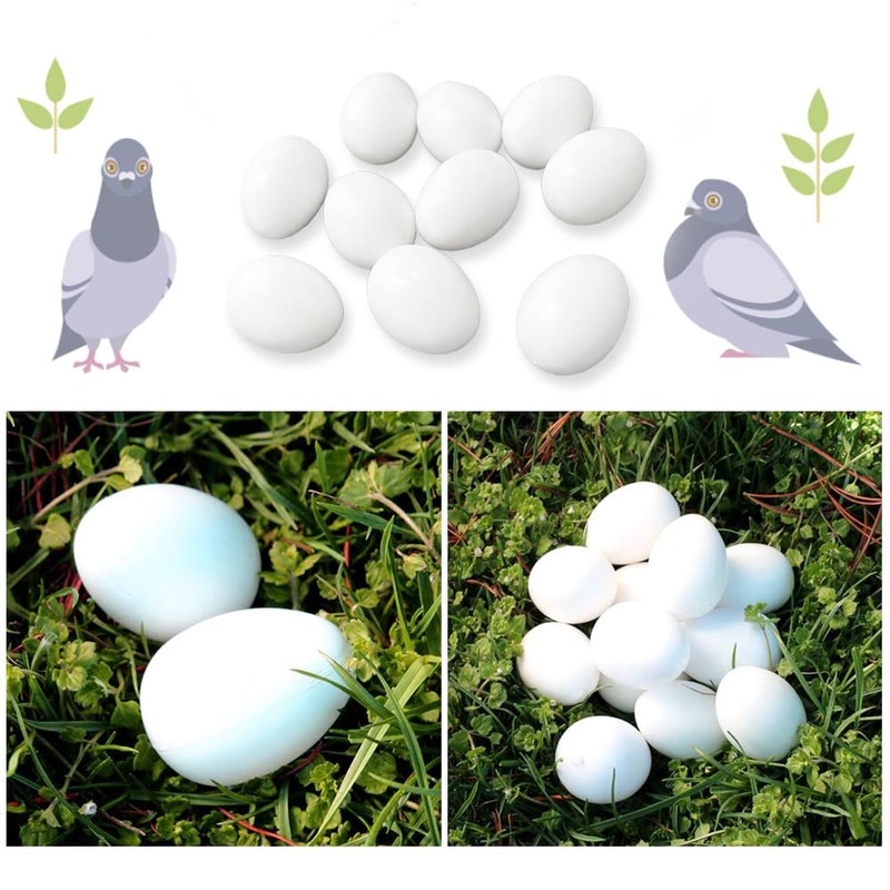 Solid Fake Eggs Dummy Pigeon Eggs for Guiding Racing Pigeons,