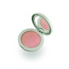 KIKO Milano Kind by Kiko Silky Touch Powder Duo Blush