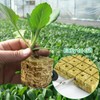 DIELOVEHUA Pack of 28 Rockwool Cubes, 2.5 x 2.5 x