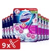 Domestos Power 5 Pink Magnolia Toilet Stone 55 ml Pack
