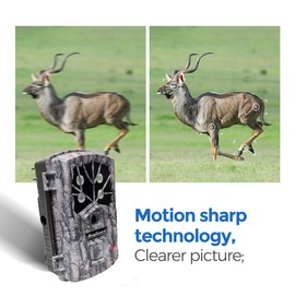BolyGuard Wildlife Wildlife Wildlife Camera 24MP 1080P HD Hunting Camera 100ft Detection Range 40pcs 940nm IR LEDs with Night Version for Wildlife Surveillance and Home Security (BG590-24mHD)