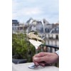 L'Atelier du VIN - Glass L'Exploreur Oenology - Technology Nervure