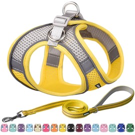 AIITLE Small Harness for Puppy with A Leash - Dog Vest Harness with Super Breathable Mesh, Reflective No-Pull Pet Harness for Outdoor Walking, Running for Small Dogs, Cats Yellow XXS