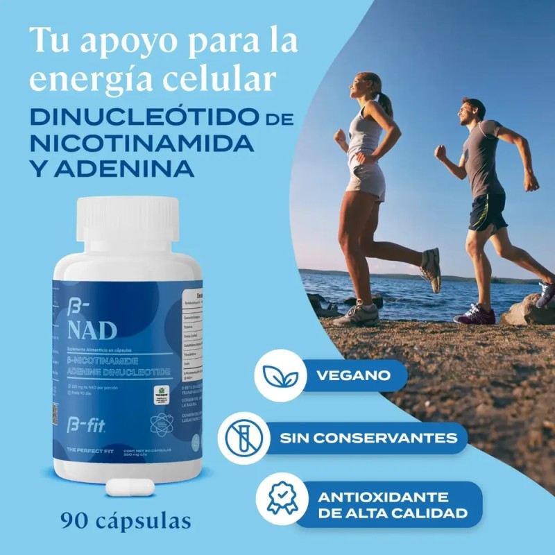 B-fit Nad 500mg 90 Cápsulas Suplemento Anti Aging