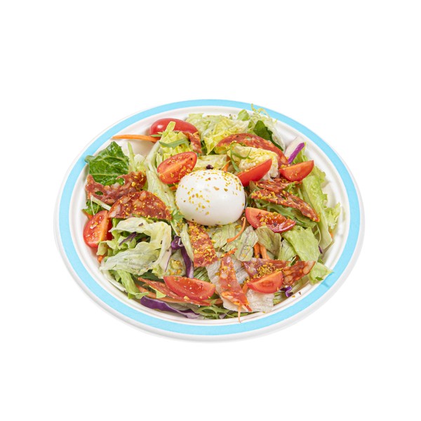 Restaurantware Compostable Paper Plates 100 Pack of 8.8 Inch Disposable