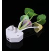 Rienar Sensor Led Night Light, Color Changing Plug-in LED Mushroom