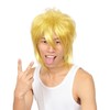 Katsurando Kinpatsu Kun Wig Costume Accessory Unisex