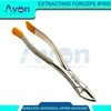 Dental Extracting Extraction Serrated Forceps #150, for Maxillary incisors, Canines,