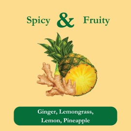 Tadin Herbal Pineapple Ginger Tea 24 Count Caffeine Free Refreshing Wellness Tea