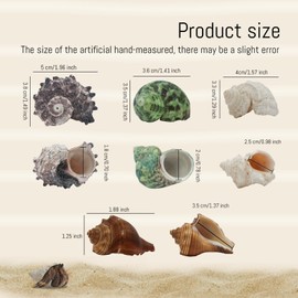 WishLotus 4Pcs Hermit Crab Shells, Natural Hermit Crab Shells Medium to Large, 0.6-1.4inch Opening Hermit Crab Decor for Beach Supplies Conch Habitat (4)