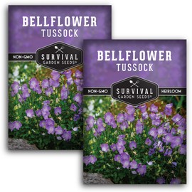Tussock Bellflower Seed for Planting - 2 Packets with Instructions to Plant and Grow Campanula carpatica in Your Home Flower Garden - Non-GMO Heirloom Variety - Survival Garden Seeds