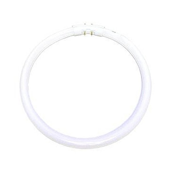 Satco 08157 - FC22T5/841 S8157 Circular T5 Fluorescent Tube Light Bulb