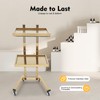 2-Tier Metal Rolling Cart,Gold Beauty Salon SPA Rolling Cart Foldable