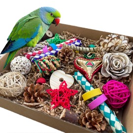 ExcyphrXyf Bird Foraging & Bird Shredding Toys Box,Natural Chewing and Foraging Toys for Cockatiels,Parakeets,Conures,Love Birds & Small to Medium Parrots