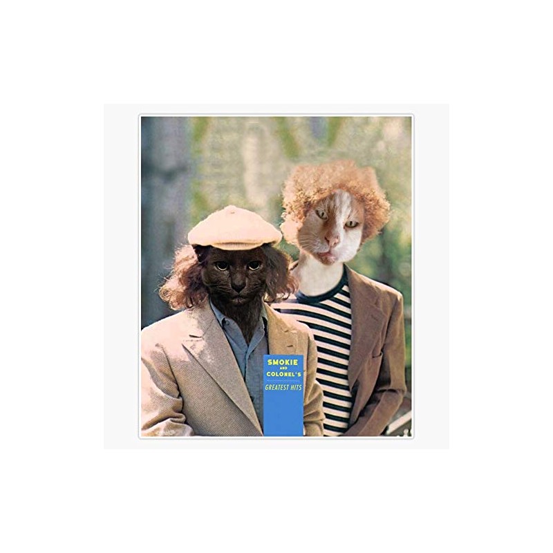 Cat Simon And Garfunkle Waterproof Vinyl Window Bumper Sticker Decal