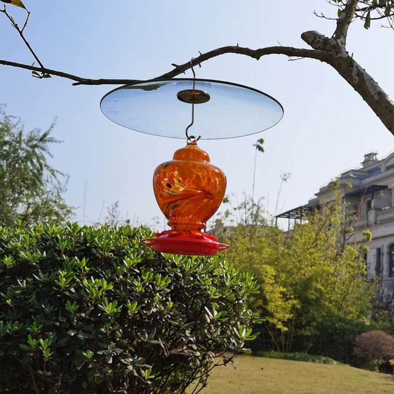 13" Glass Rain Cover for Bird Feeder Outdoors - Baffle