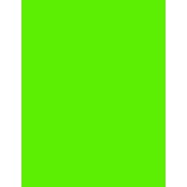 NextDayLabels - 8-1/2 x 11 Neon Color High Light Fluorescent Labels for Laser & Inkjet Printer (Green Fluorescent, 8.5" x 11" - 1 Per Page | 100 Labels)