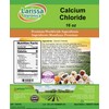 Calcium Chloride (16 oz, ZIN: 528792)