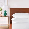 Karin Maki Standard Zippered Pillow Protectors Pack of 2 100%