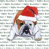 Zeppa Studios Bulldog Coasters Christmas Themed