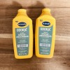 Dr Scholls 2 Pack Dr Scholls Ultra Sweat Absorbing Foot