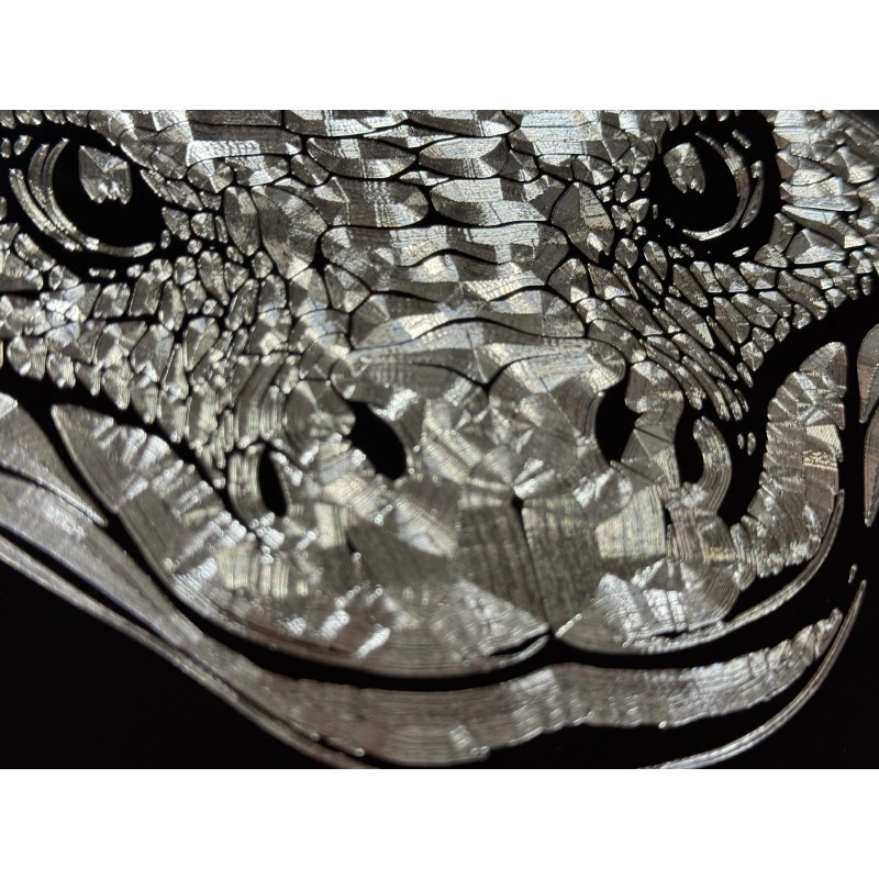 Diamond Etched Products Snake Head Diamond Etched Reflective Engraved License